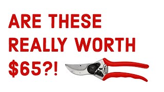 Ultimate Garden Bypass Pruner Review: Dollar Tree vs Fiskars