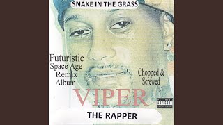 Low Down Dirty Snake In The Grass