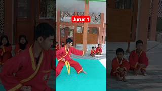 Download lagu Jurus 1 Tunggal IPSI mp3