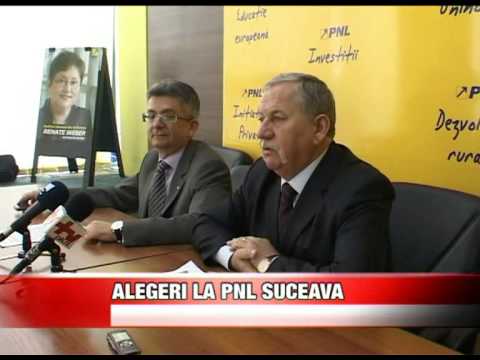 Alegeri la PNL Suceava