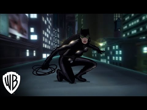 Cat Chase Clip