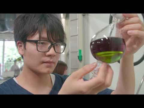 薬学部　研究紹介