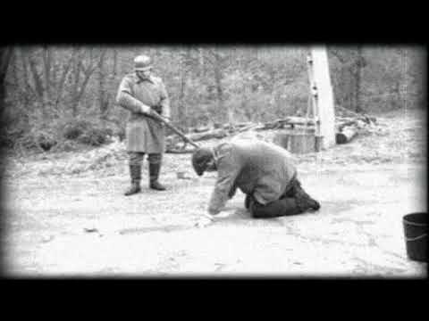 Kampfgruppe Chill - Partisanen und Arbeit, Elewijt 1945