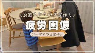 【日常vlog】ママは毎日が修行…手料理サブスクに助けられてます！イヤイヤ期・夏休み・5歳差兄弟