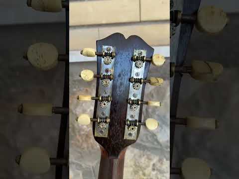 Antique Italian Neapolitan Bowl-Back Mandolin - Ozelli - Late 19th / Early 20th Century with case image 17