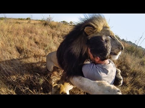 תיעוד מתוך ההתרחשות - צילום מדהים!