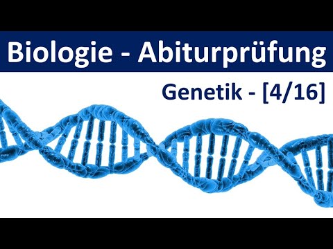 Biologie Abiturprüfung 2026 - Aufgaben Genetik [1/2] - [Abitur Biologie, 4/16]