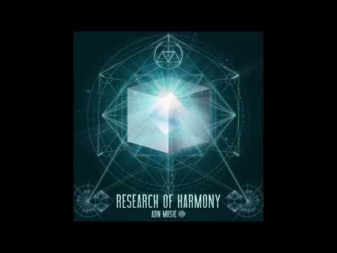 2  Dreamstalker   Ocean of Vibration live version  [VA - Research Of Harmony - ADN Music]