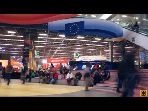 Ce este SEAE și ce rol joacă în politica externă a Uniunii Europene?