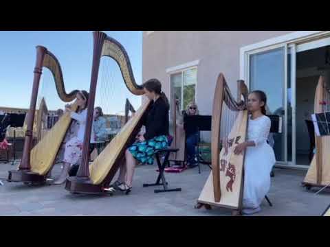 O'Carolans Wedding Feast at a backyard concert, students of Marina Roznitovsky Oster.