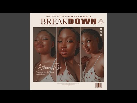 BreakDown (feat. Illusionist)