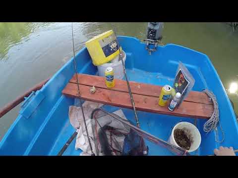 REKORDLISTÁS KESZEG + NYURGA PONTY BIZONY KIUGRIK A HALTARTÓBÓL mese :)))...FHD   (teljes videó...)