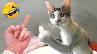 Try Not to Laugh 😂 The Funniest Animals 😹🐶 Part 12