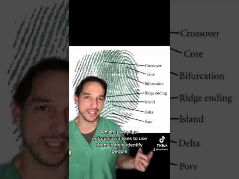 Can you burn off your fingerprints? Hand surgeon explains #Fingerprints #Burn #Medical #Hand