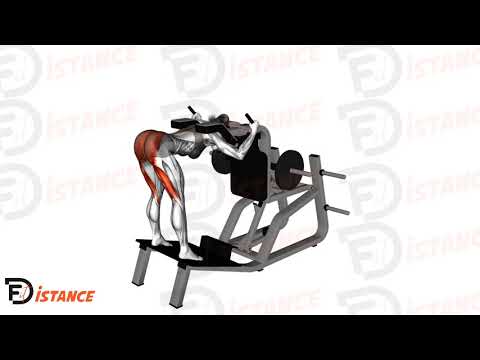 Exercice Good morning à la machine à hack squat