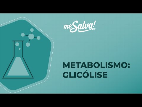 Metabolismo – Carboidratos II - Bioquímica - Me Salva! Saúde