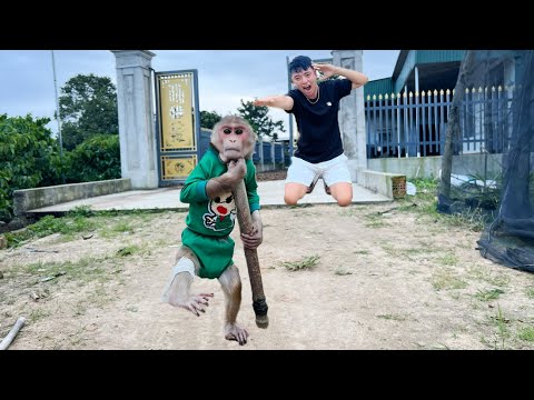 Luk schlich sich trotz seines schmerzenden Beins von seinem Vater weg, um zu spielen! Papa konnte...