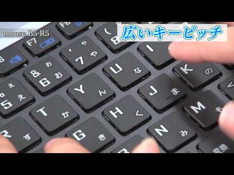 ノートパソコン MB5R5201101 [15.6型 /Windows10 Home /AMD Ryzen 5