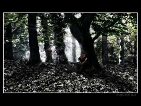 Sylwia Wiśniewska- Ostatni