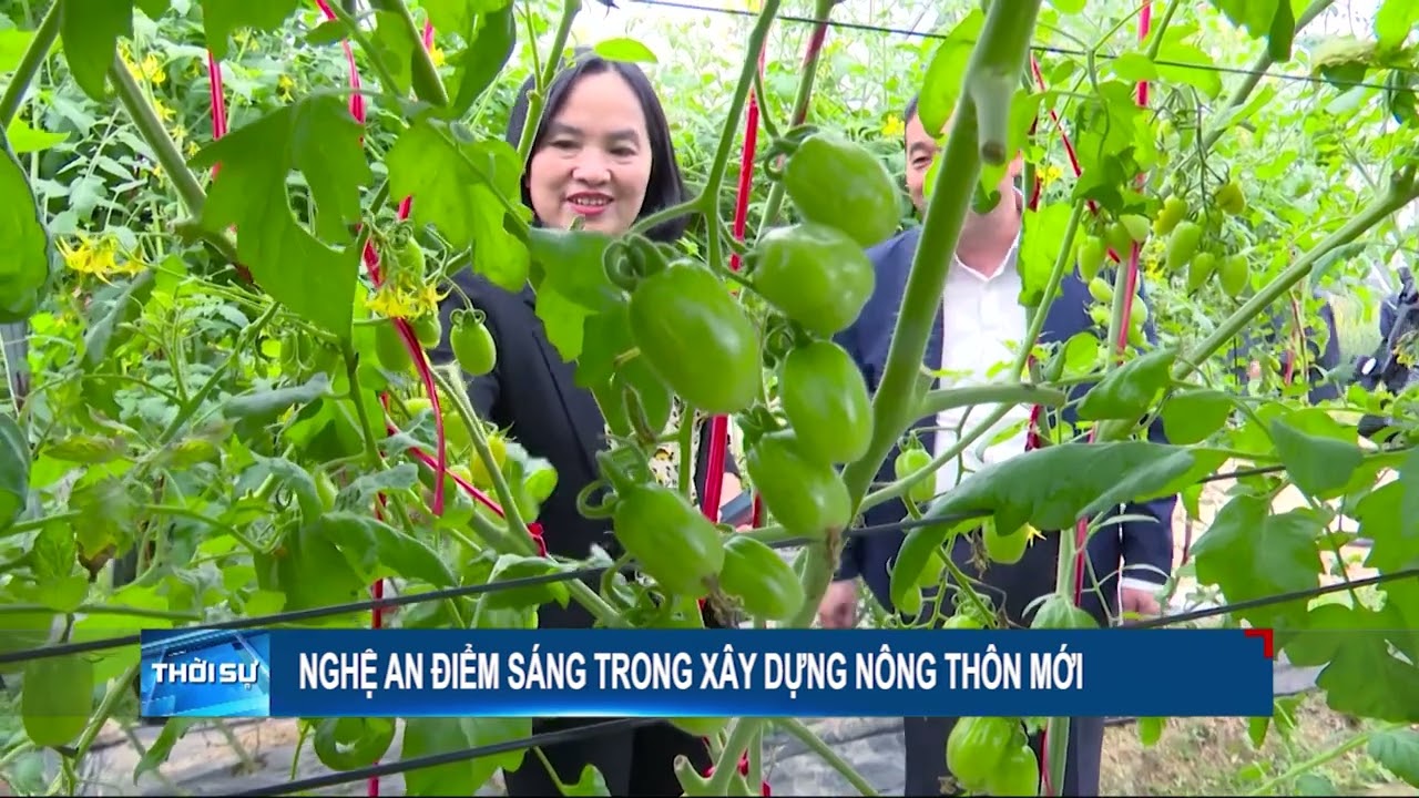 Nghệ An - điểm sáng trong xây dựng nông thôn mới