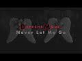 DEPECHE MODE - Never Let Me Go (Lyrics)