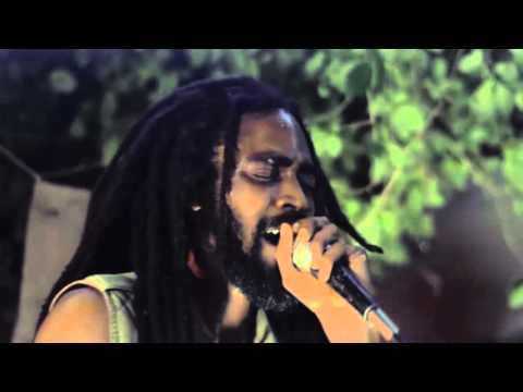 ASADeNAKI Wailer Kick out Full Coverage