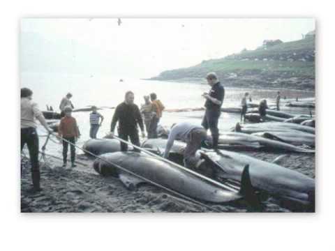 汚染物質モデルを修正する必要がある