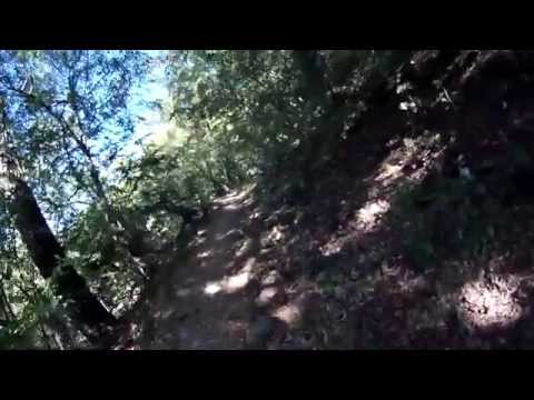 Domogled-Cerna Valley National Park