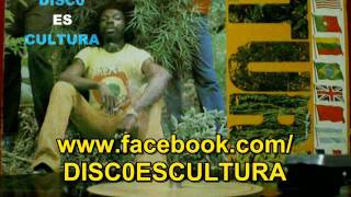 Culture ♦ I Tried (subtitulos español) Vinyl rip