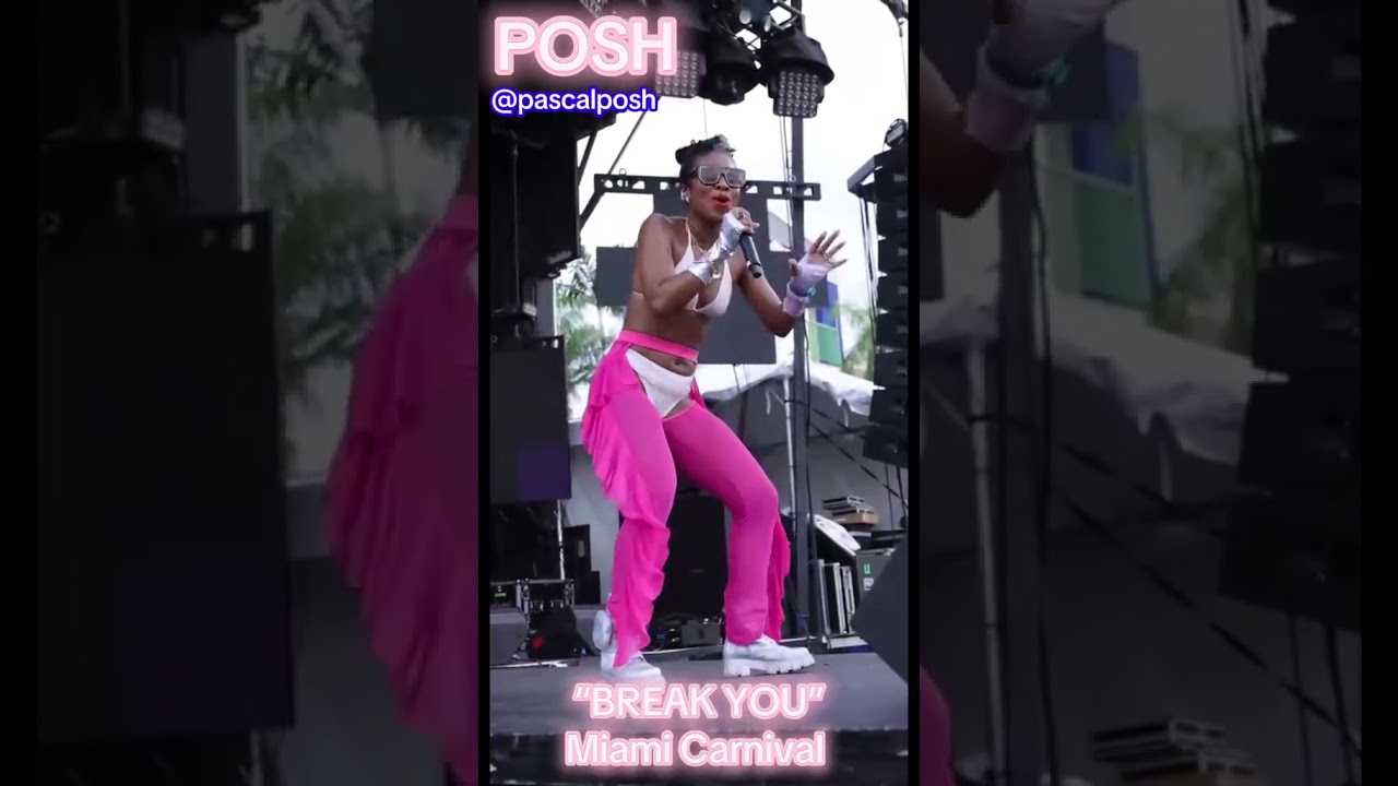 Promotional video thumbnail 3 for Posh