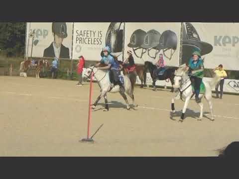 Trofeo 4 regioni le Lame/12-13/10/19/C3 ||CM