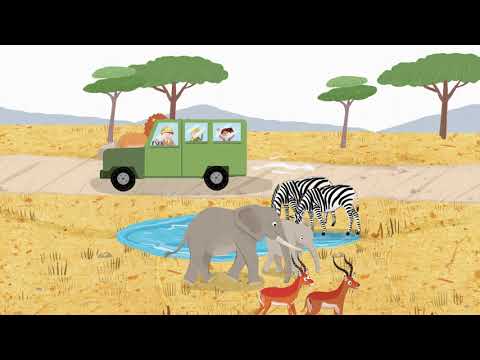 Let's Smile 6 Unit 9 Song - On a Safari Tour