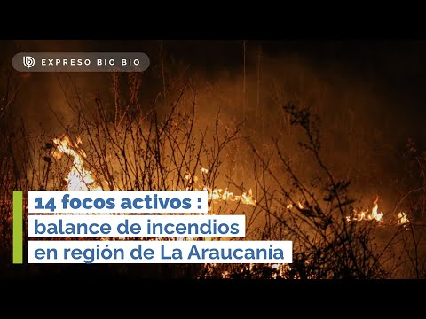 14 focos activos: balance de incendios en región de La Araucanía (EBB)