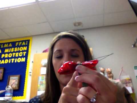 Hershey Kiss Rose Demo