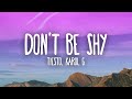 Tiësto Karol G Don T Be Shy