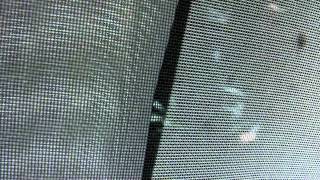 This Will Destroy You - The Puritan