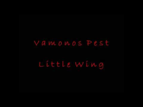 download lagu mp3 mp4 Vamonos Pest Band, download lagu Vamonos Pest Band gratis, unduh video klip Vamonos Pest Band