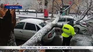 Երևանի կենտրոնում հսկայական ծառը պոկվել ու ընկել է 3 ավտոմեքենայի վրա