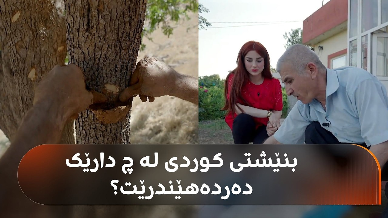 ڤیدیۆ | تائێستا زانیوتە بنێشتی کوردی چۆن دروست دەکرێت؟ ئەم دوو هاوژینە 30 ساڵە ئەمە پیشەیانە و باسی دەکەن