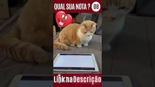 ? ?Jogo pra Gatinho IPHONE 13 ? Engraçado ? FoFo #Shorts