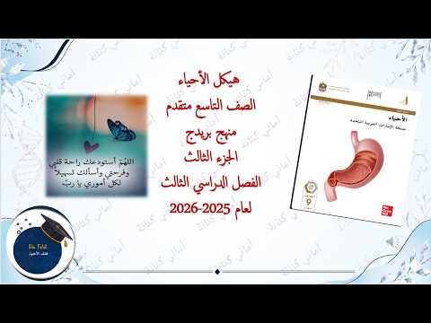 شرح الهيكل بريدج الجزء الثالث