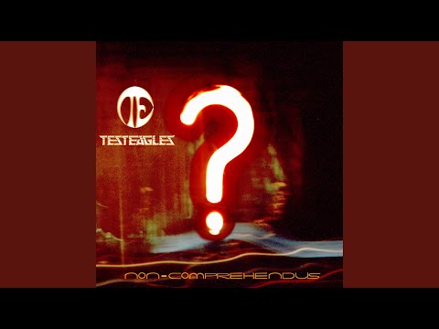 Non-Comprehendus - Testeagles