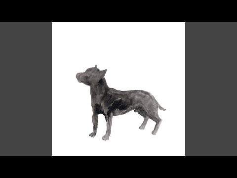 Video thumbnail for A Dog Called Money