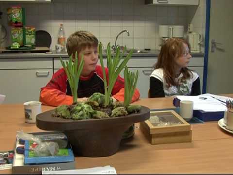 infofilm School met de Bijbel Noordeloos