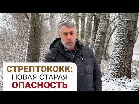 Стрептококк: новая старая опасность (English subs)