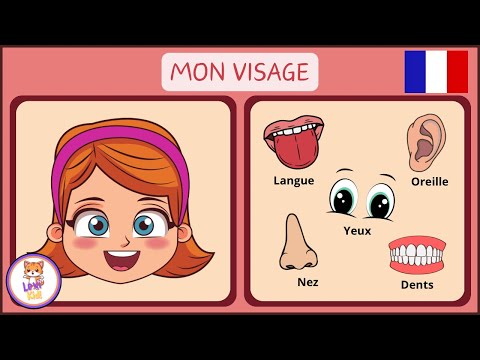 LES PARTIES DU VISAGE | Vocabulaire pour enfants en Français