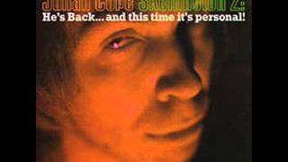 Julian Cope - Common Land at Waters Edge