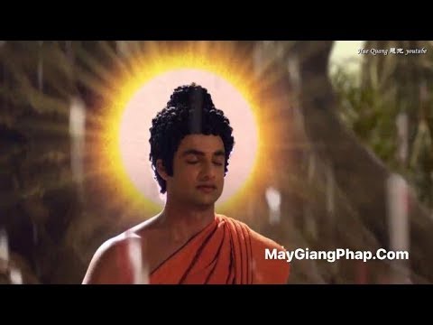 Nghe Mà Thấm Từng Lời - Tình Đạo Phật -Trung Tâm Dần Nguyệt