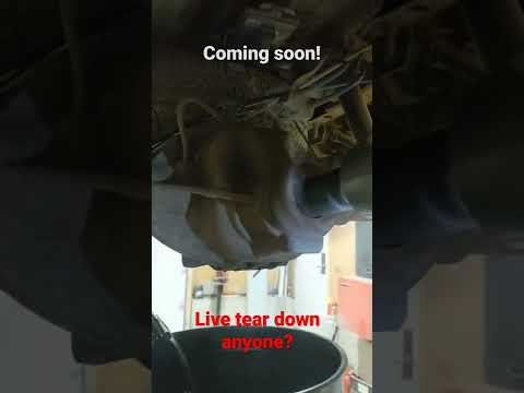 2008 GM rear pinion bearings