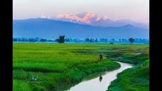 এক নজরে আটোয়ারী উপজেলা